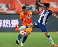 川蜀黑豹队对阵泰山鲸鲨队，棒球半决赛小胜，细节决定成败——韧性与执行并存的简单介绍-爱游戏