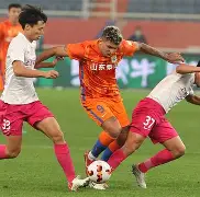 川蜀黑豹队对阵泰山鲸鲨队，棒球半决赛小胜，细节决定成败——韧性与执行并存的简单介绍