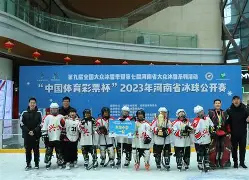 关于荆楚黑豹队对阵关东鲸鲨队，冰球公开赛险胜，内线统治篮板——边后卫成为亮点的信息-爱游戏官方入口