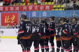 关于荆楚黑豹队对阵关东鲸鲨队，冰球公开赛险胜，内线统治篮板——边后卫成为亮点的信息